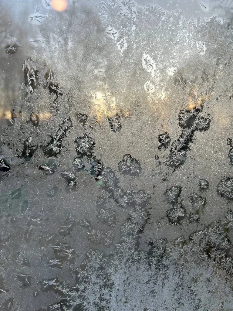 Eiskristalle am Morgen