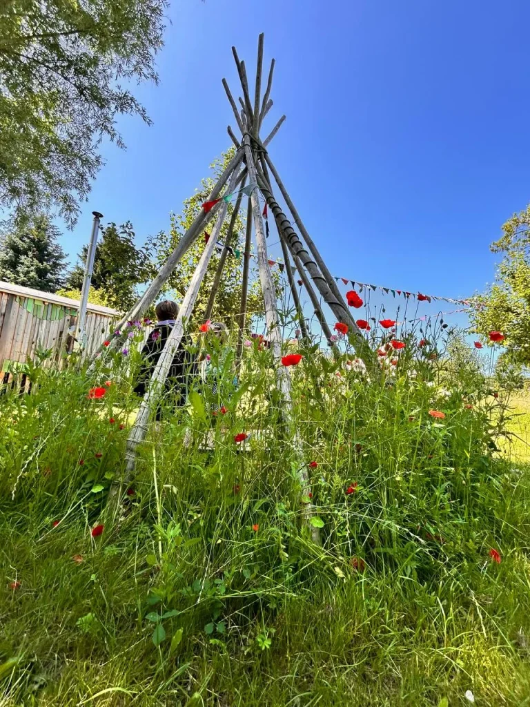 Weidentipi in der Mohnwiese