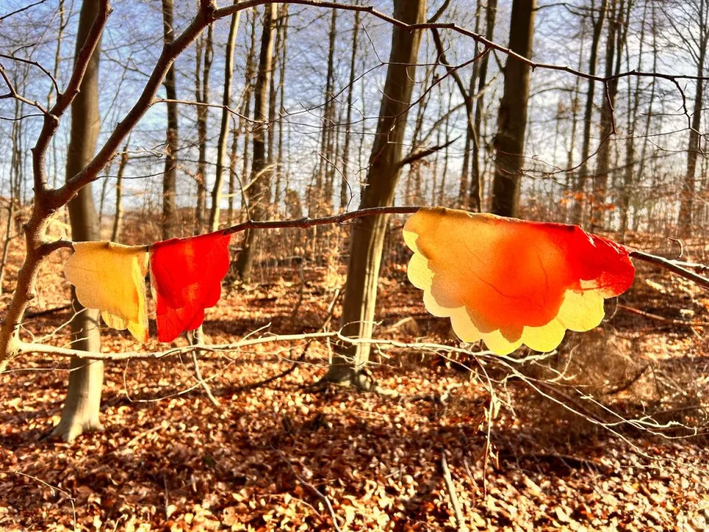 Transparente aus Herbstblättern