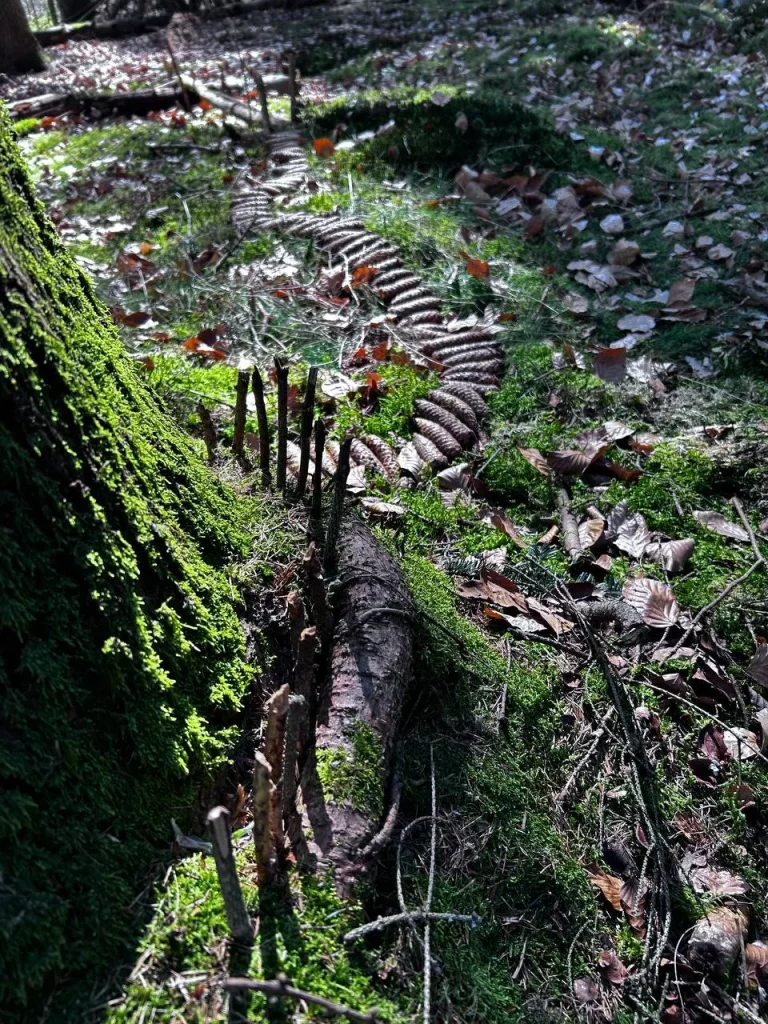 Was der Waldboden hergibt