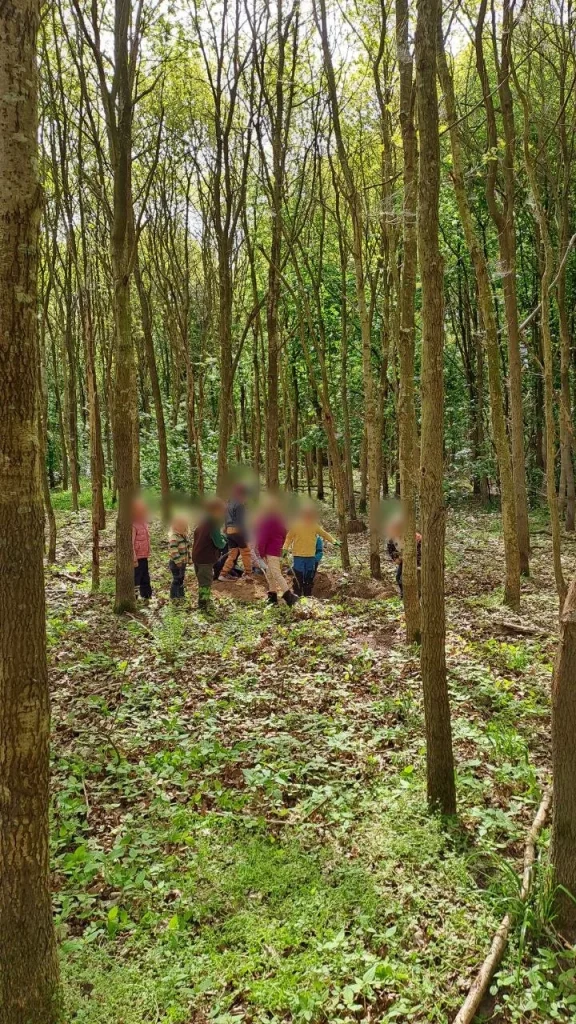 Der Wald will erkundet werden