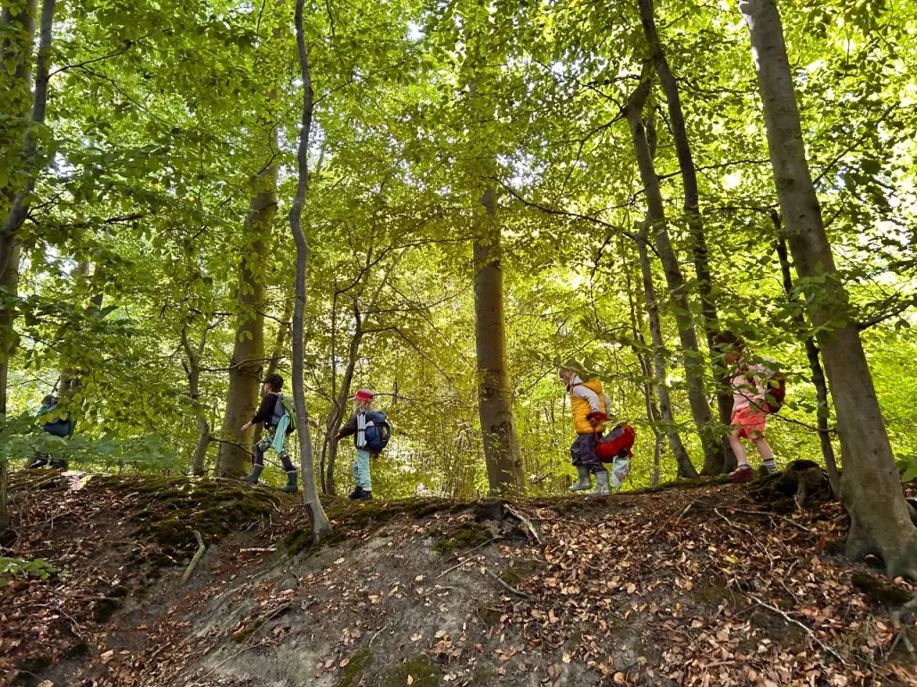 Frühling im Kellerswald
