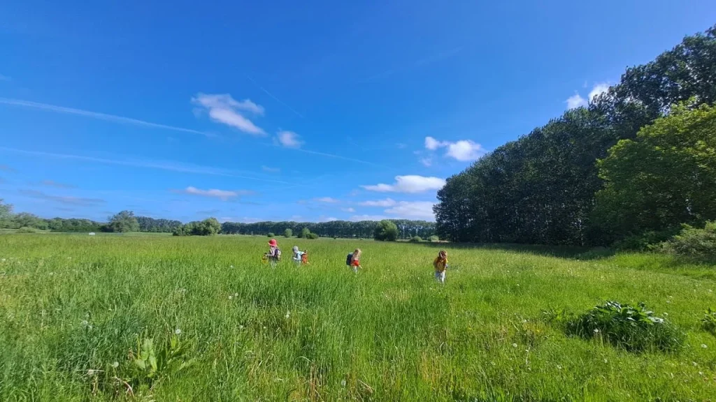 Die große Wiese