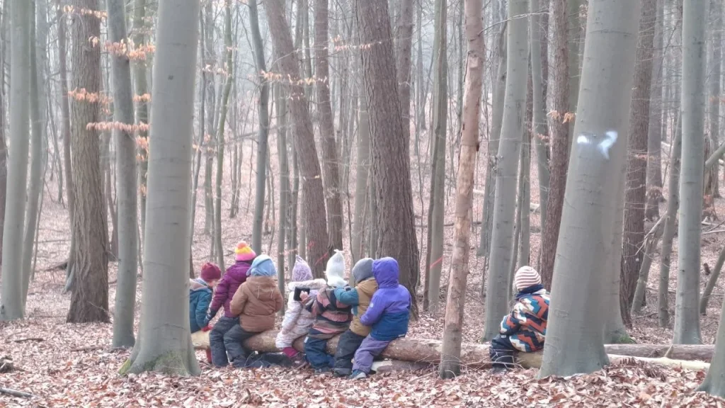 Morgenkreis im Buchenwald