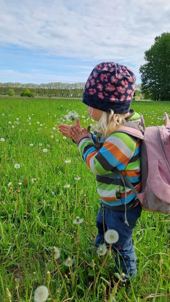 Pusteblumen, so weit man sieht