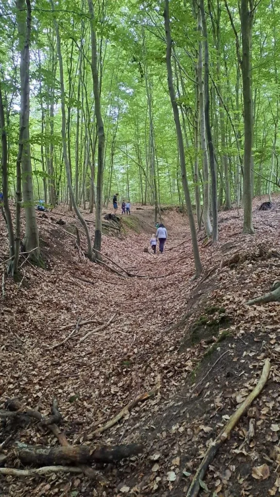 Den Hang hinauf und hinunter